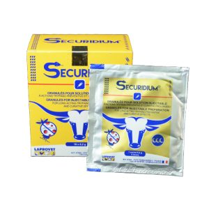 Securidium